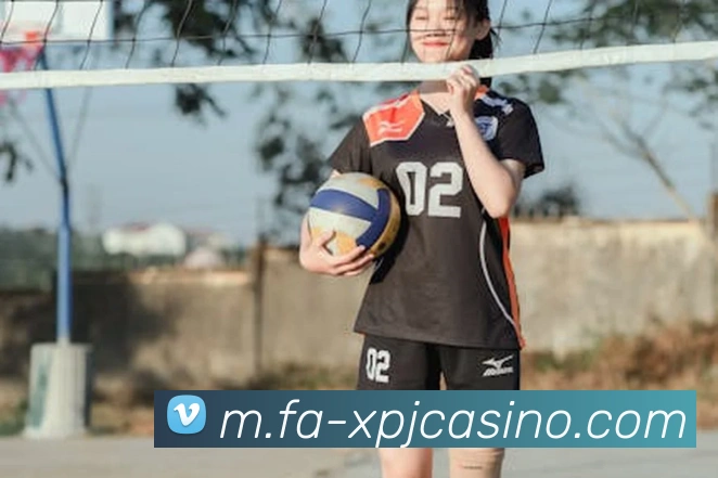 新葡京娱乐平台生态图