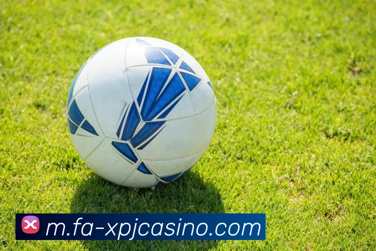 新葡京娱乐APP 封面图